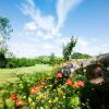 Cottages in Staverton