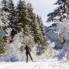 Ski Resorts in Le Sentier