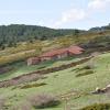 Kisállatbarát szállások Gea de Albarracínban