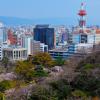 Wakayama