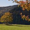 Beroun
