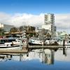 Pet-Friendly Hotels in Nanaimo