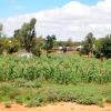 Apartments in Dodoma