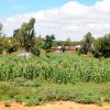 Dodoma