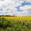 Semesterboenden i Moutiers-sous-Chantemerle