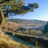 Cottages in Treherbert