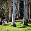 Hotel con parcheggio a Mahogany Creek