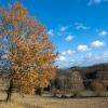 Bed & breakfast a Castel del Piano