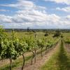 Holiday Homes in Red Hill