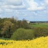 Cottages in Market Drayton