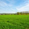 Bad Fallingbostel
