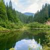 Hoteluri în Stâna de Vale