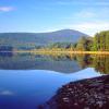 Pet-Friendly Hotels in Catskill