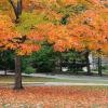 Hotels with Parking in Grinnell