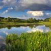 Holiday Rentals in Zaniemyśl