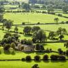 Cottages in Spennymoor