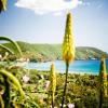 Hotel vicino alla spiaggia a Lacona