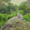 Hoteles con estacionamiento en Sabi Sand Game Reserve