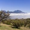 Hotéis em La Plaine des Cafres