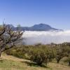 La Plaine des Cafres