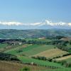 Holiday Rentals in Monteprandone