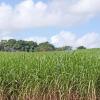 Casas de Hóspedes em Pongola