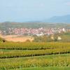 Cheap Hotels in Friesenheim