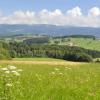 Vacation Rentals in Walkertshofen