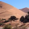 Mariental