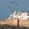 Hoteles en Ghazoua