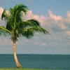 Vacation Rentals in North Palm Beach