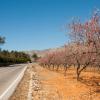 Hotels with Parking in Alcalalí