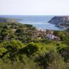 Holiday Rentals in Capraia