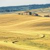 Hotely s parkováním v destinaci Cerreto Guidi