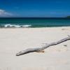 Beach rentals in Salamander Bay