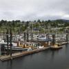 Gibsons