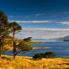Holiday Homes in Tighnabruaich