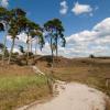 Campings en Nunspeet