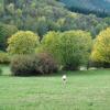 Cottages in Ouroux en Morvan