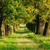 Domy przy plaży w mieście Neerglabbeek