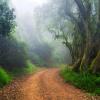 Farm Stays in Magoebaskloof