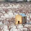 Alquileres temporarios en Venterol