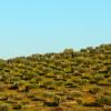 Hoteles familiares en Cano