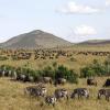 Lodges in Masai Mara