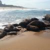 Alquileres vacacionales en la playa en Hibberdene