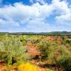 Rentas vacacionales en Sant Mateu d’Albarca