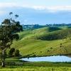 Traralgon