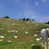 Hôtels pas chers à Cisterna di Latina