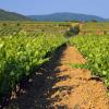 Hoteles con estacionamiento en Trans-en-Provence