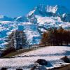 Cabins in Peisey-Nancroix